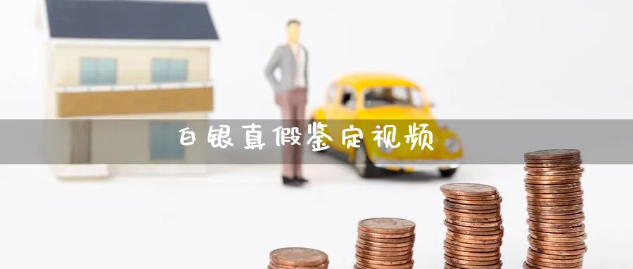 白银真假鉴定视频_https://www.51pinbao.com_原油直播室_第1张