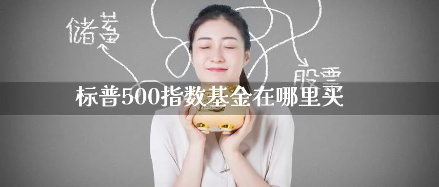 标普500指数基金在哪里买_https://www.51pinbao.com_纳指直播室_第1张