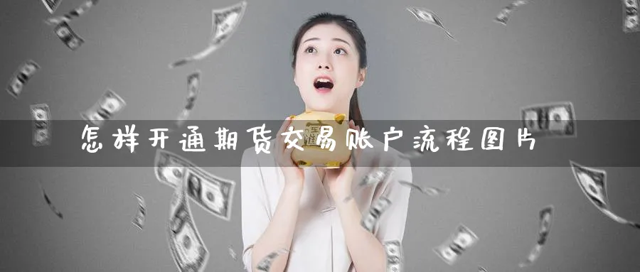 怎样开通期货交易账户流程图片_https://www.51pinbao.com_恒指直播室_第1张