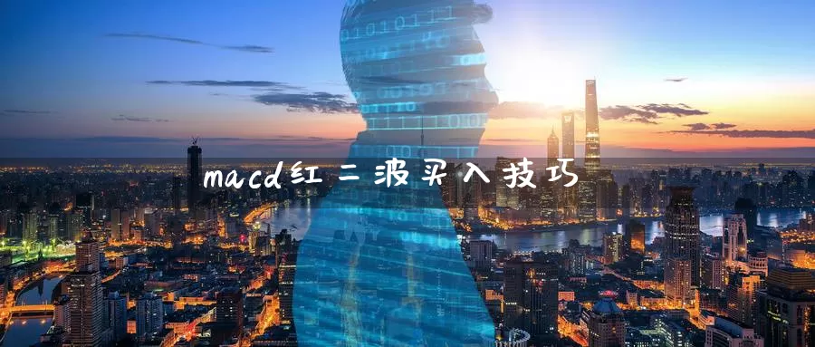 macd红二波买入技巧_https://www.51pinbao.com_期货直播室_第1张