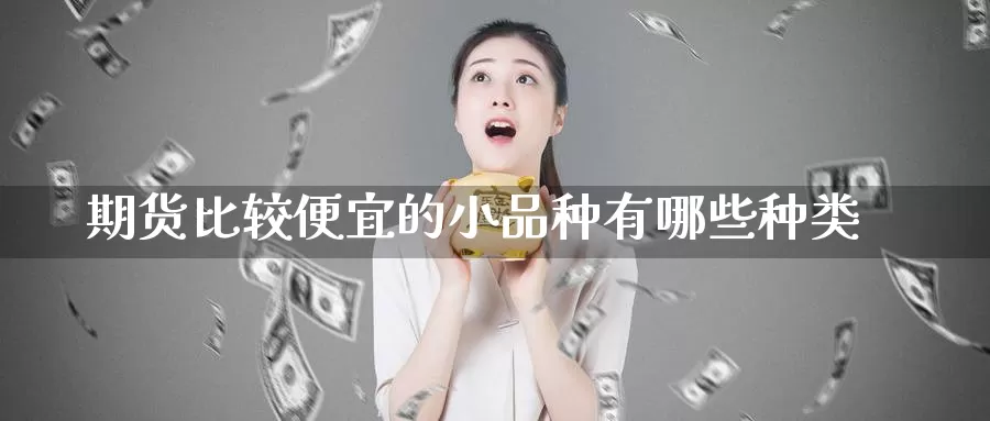 期货比较便宜的小品种有哪些种类_https://www.51pinbao.com_期货直播室_第1张