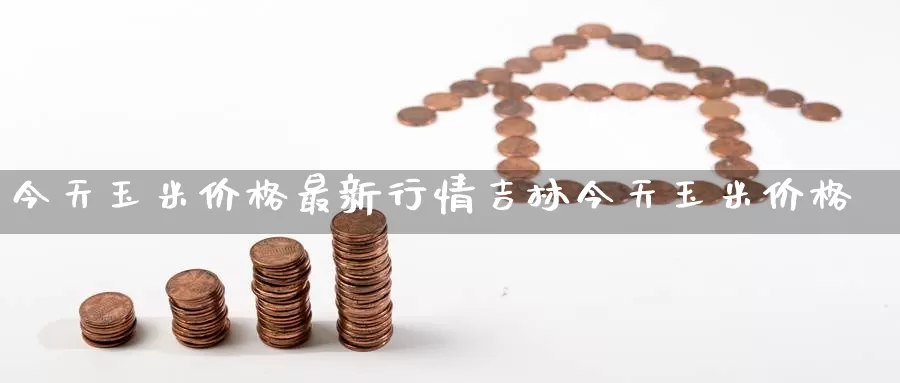 今天玉米价格最新行情吉林今天玉米价格_https://www.51pinbao.com_恒指直播室_第1张