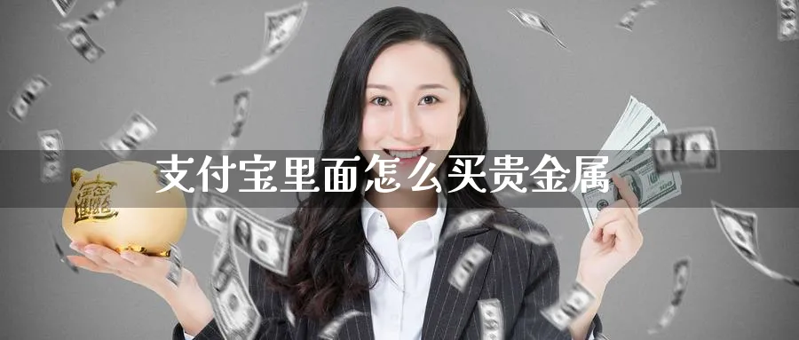 支付宝里面怎么买贵金属_https://www.51pinbao.com_恒指直播室_第1张