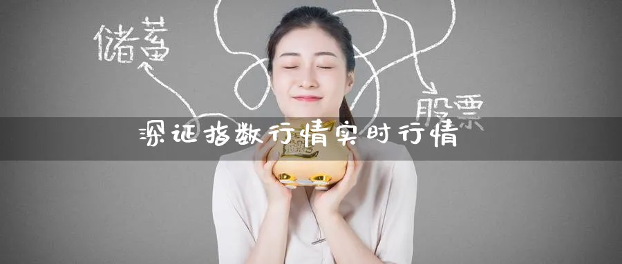 深证指数行情实时行情_https://www.51pinbao.com_期货直播室_第1张