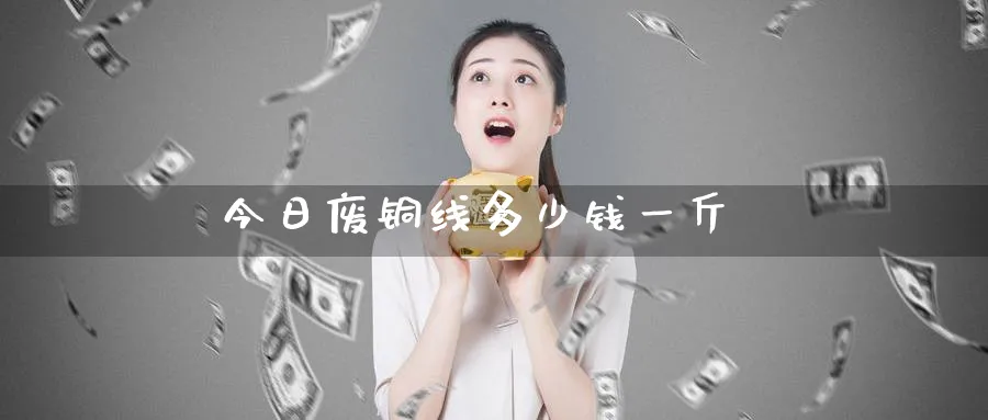 今日废铜线多少钱一斤_https://www.51pinbao.com_纳指直播室_第1张