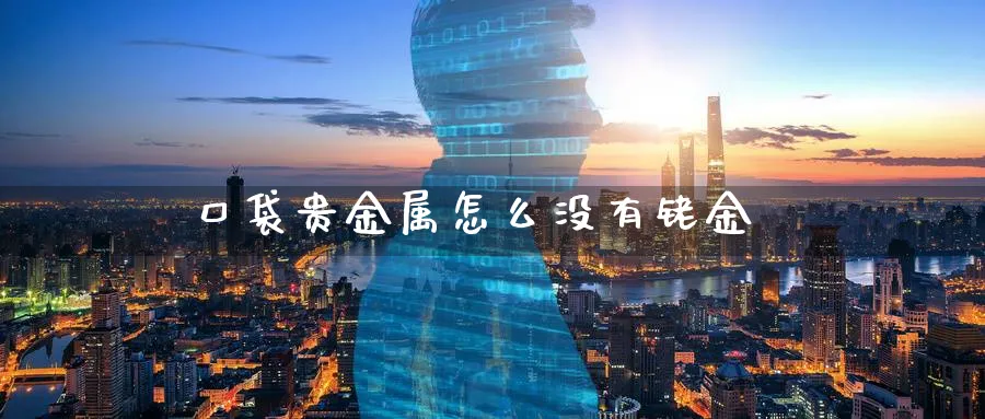口袋贵金属怎么没有铑金_https://www.51pinbao.com_期货直播室_第1张