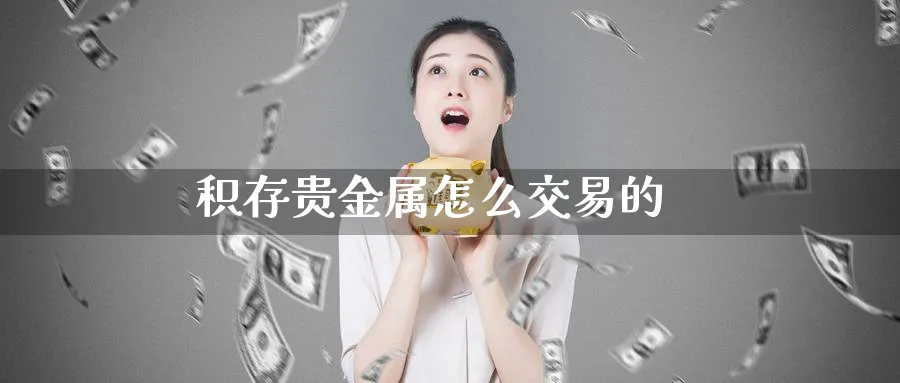 积存贵金属怎么交易的_期货直播室_第1张_51期货直播网 积存贵金属怎么交易的_https://www.51pinbao.com_期货直播室_第1张