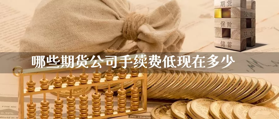哪些期货公司手续费低现在多少_https://www.51pinbao.com_德指直播室_第1张