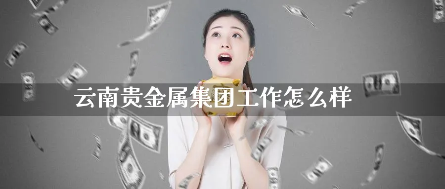 云南贵金属集团工作怎么样_https://www.51pinbao.com_期货直播室_第1张