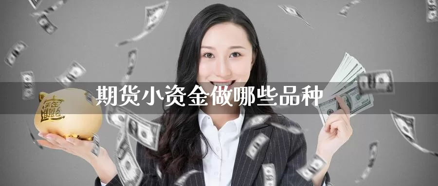 期货小资金做哪些品种_https://www.51pinbao.com_恒指直播室_第1张