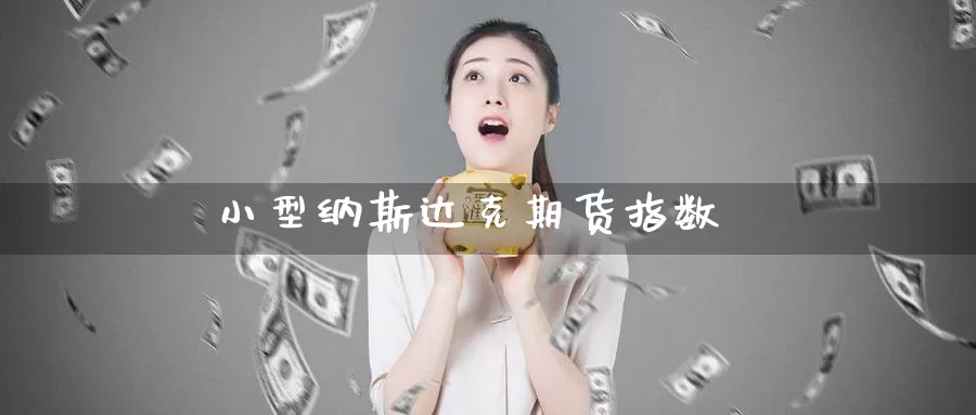 小型纳斯达克期货指数_https://www.51pinbao.com_德指直播室_第1张