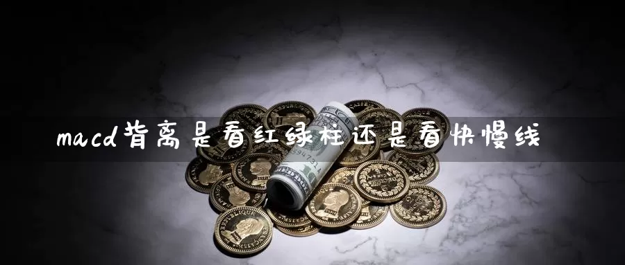 macd背离是看红绿柱还是看快慢线_https://www.51pinbao.com_期货直播室_第1张