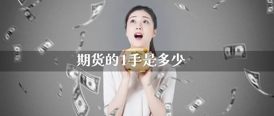 期货的1手是多少_https://www.51pinbao.com_恒指直播室_第1张