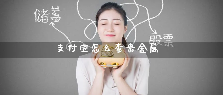 支付宝怎么查贵金属_期货直播室_第1张_51期货直播网 支付宝怎么查贵金属_https://www.51pinbao.com_期货直播室_第1张