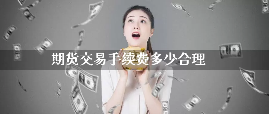 期货交易手续费多少合理_https://www.51pinbao.com_黄金直播室_第1张
