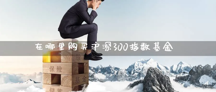 在哪里购买沪深300指数基金_https://www.51pinbao.com_期货直播室_第1张