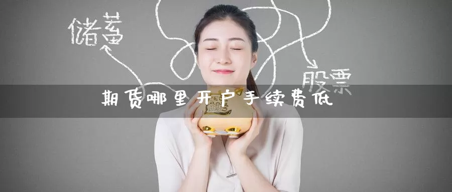 期货哪里开户手续费低_https://www.51pinbao.com_期货直播室_第1张