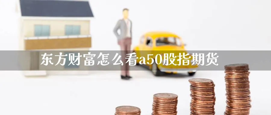 东方财富怎么看a50股指期货_https://www.51pinbao.com_恒指直播室_第1张