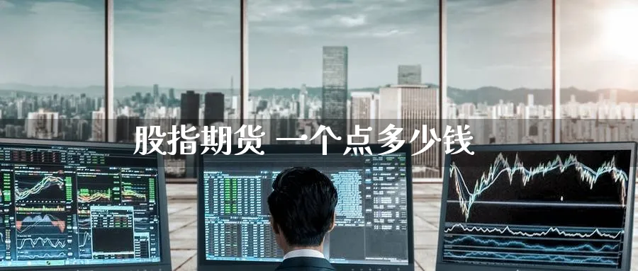股指期货 一个点多少钱_https://www.51pinbao.com_纳指直播室_第1张
