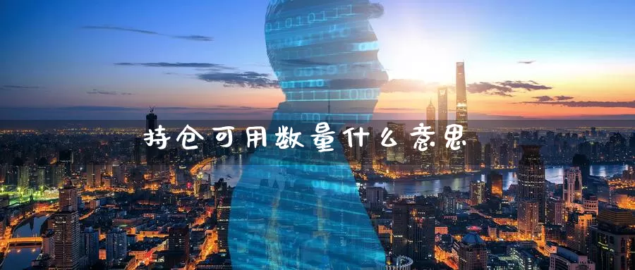 持仓可用数量什么意思_https://www.51pinbao.com_德指直播室_第1张