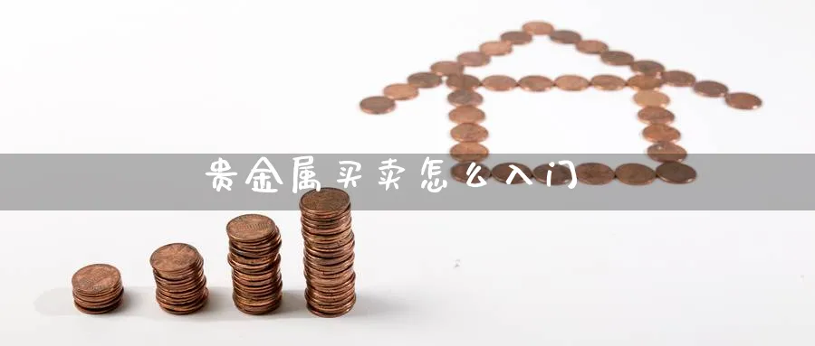 贵金属买卖怎么入门_https://www.51pinbao.com_恒指直播室_第1张