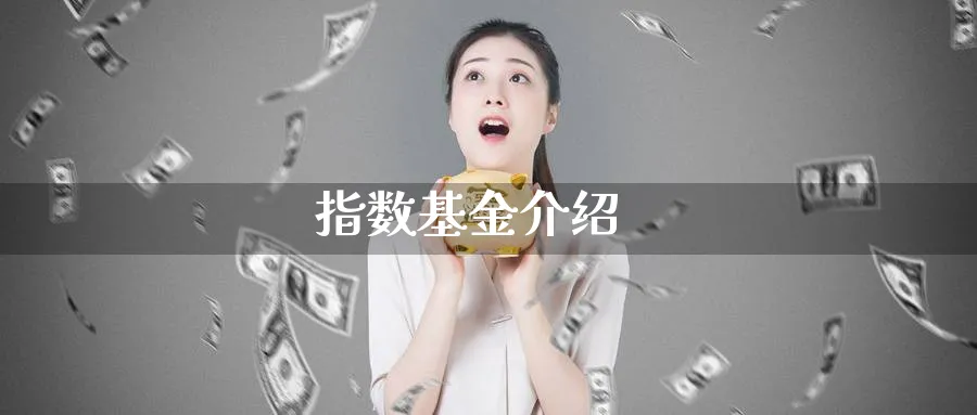 指数基金介绍_https://www.51pinbao.com_纳指直播室_第1张