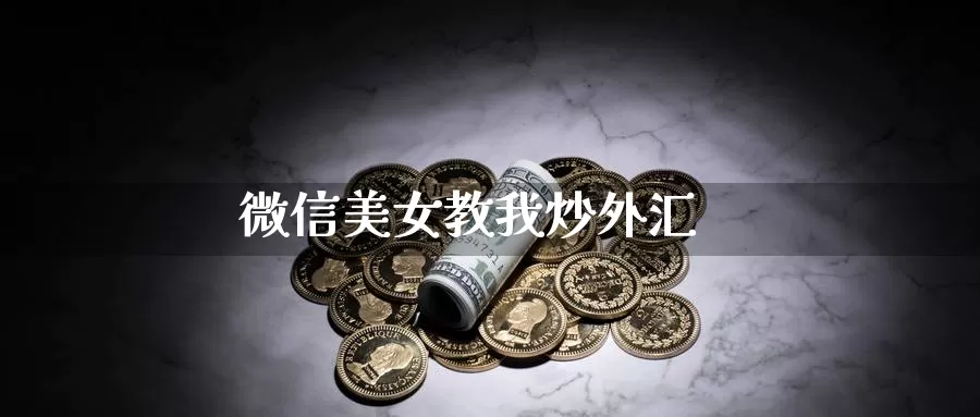 微信美女教我炒外汇_https://www.51pinbao.com_德指直播室_第1张