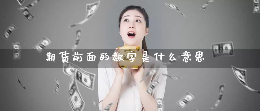 期货前面的数字是什么意思_https://www.51pinbao.com_纳指直播室_第1张