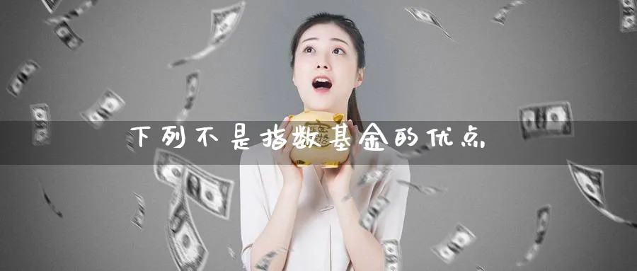 下列不是指数基金的优点_https://www.51pinbao.com_期货直播室_第1张