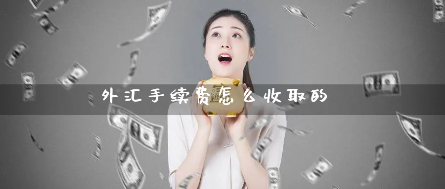 外汇手续费怎么收取的_https://www.51pinbao.com_纳指直播室_第1张