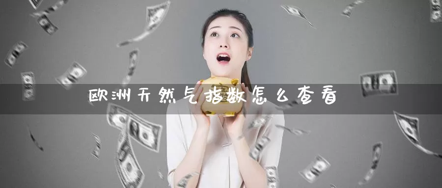 欧洲天然气指数怎么查看_https://www.51pinbao.com_期货直播室_第1张