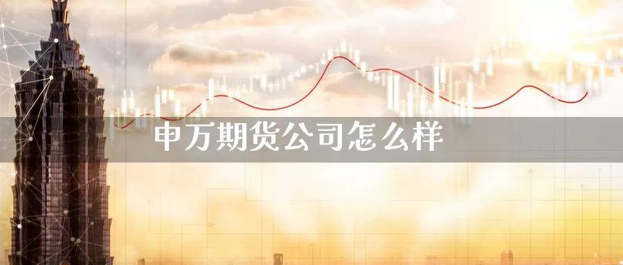 申万期货公司怎么样_https://www.51pinbao.com_恒指直播室_第1张