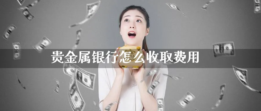 贵金属银行怎么收取费用_https://www.51pinbao.com_恒指直播室_第1张