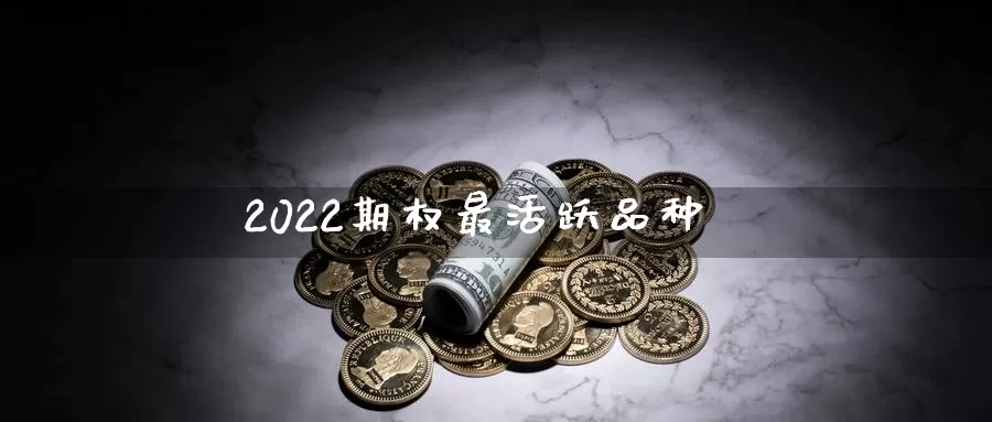 2022期权最活跃品种_https://www.51pinbao.com_德指直播室_第1张
