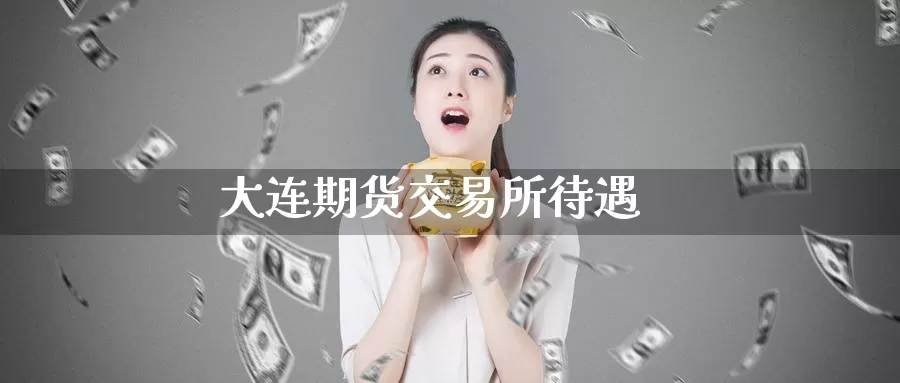 大连期货交易所待遇_https://www.51pinbao.com_恒指直播室_第1张