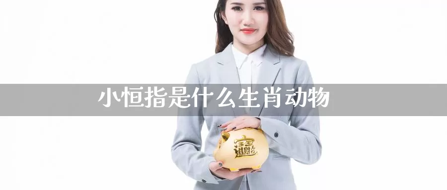 小恒指是什么生肖动物_https://www.51pinbao.com_德指直播室_第1张