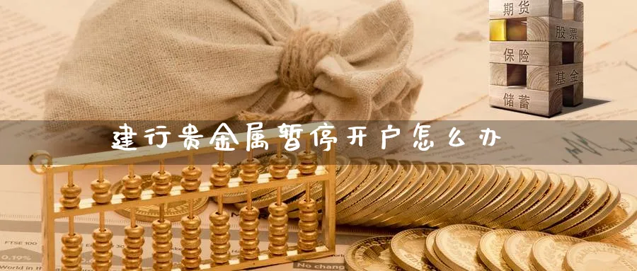 建行贵金属暂停开户怎么办_https://www.51pinbao.com_恒指直播室_第1张