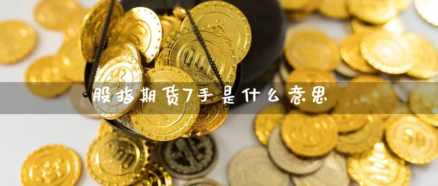股指期货7手是什么意思_https://www.51pinbao.com_恒指直播室_第1张