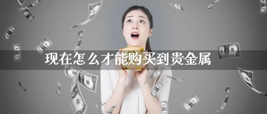 现在怎么才能购买到贵金属_期货直播室_第1张_51期货直播网 现在怎么才能购买到贵金属_https://www.51pinbao.com_期货直播室_第1张