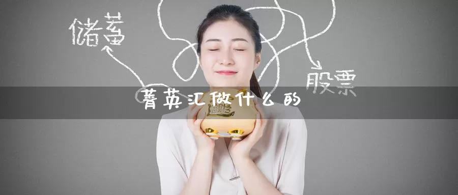菁英汇做什么的_https://www.51pinbao.com_恒指直播室_第1张