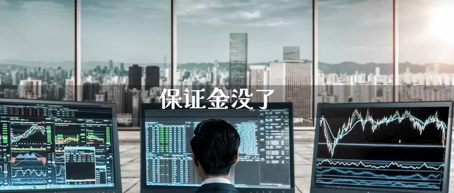保证金没了_https://www.51pinbao.com_德指直播室_第1张