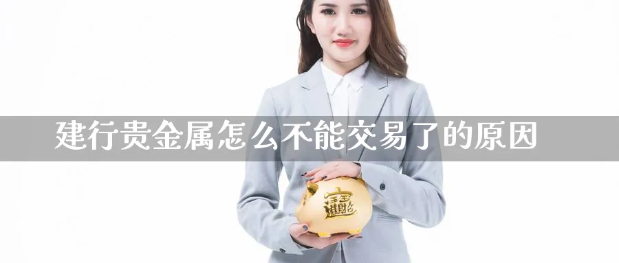建行贵金属怎么不能交易了的原因_https://www.51pinbao.com_恒指直播室_第1张