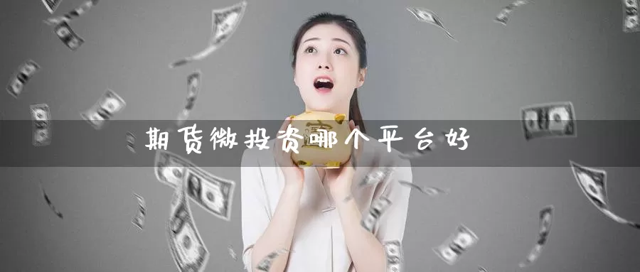 期货微投资哪个平台好_https://www.51pinbao.com_期货直播室_第1张