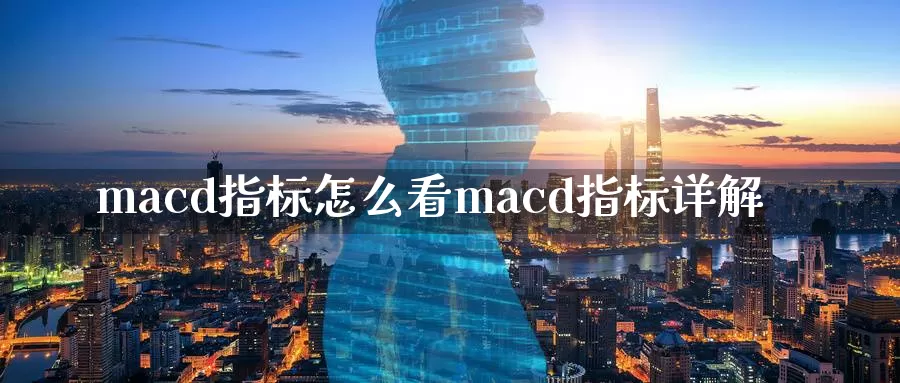 macd指标怎么看macd指标详解_https://www.51pinbao.com_恒指直播室_第1张