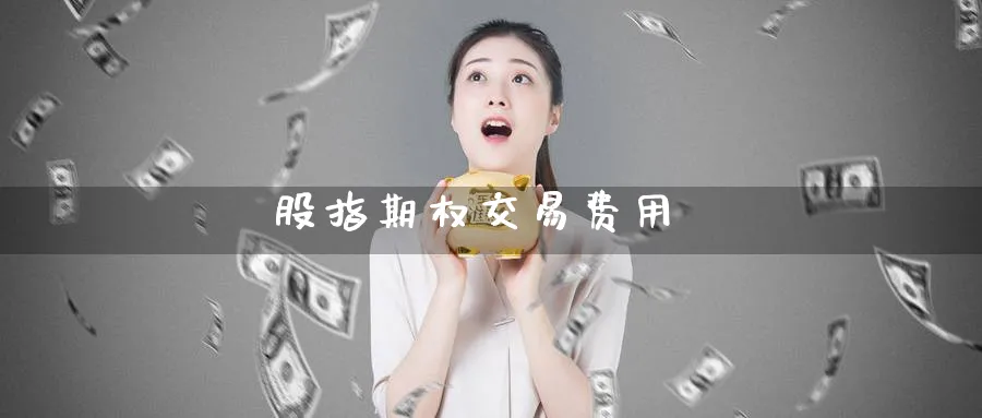 股指期权交易费用_https://www.51pinbao.com_恒指直播室_第1张