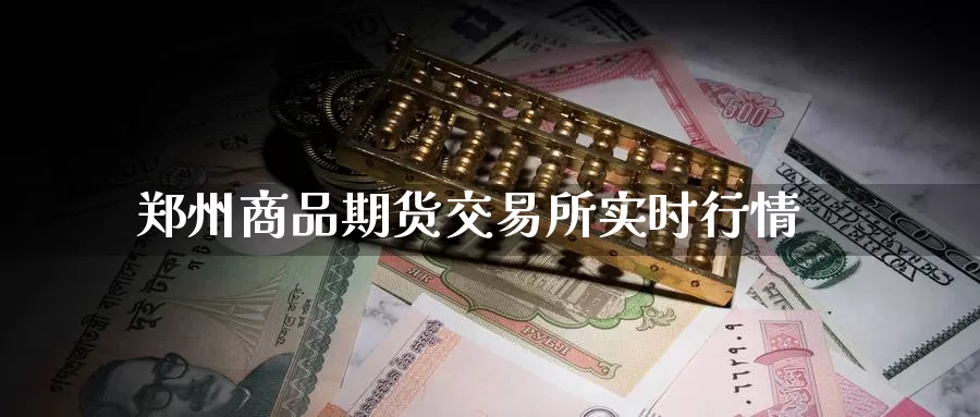 郑州商品期货交易所实时行情_纳指直播室_第1张_51期货直播网 郑州商品期货交易所实时行情_https://www.51pinbao.com_纳指直播室_第1张