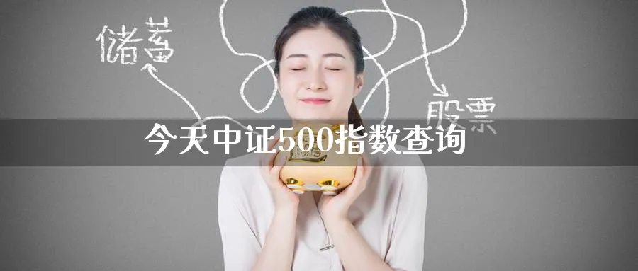 今天中证500指数查询_https://www.51pinbao.com_原油直播室_第1张