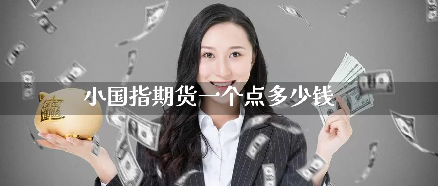 小国指期货一个点多少钱_https://www.51pinbao.com_期货直播室_第1张