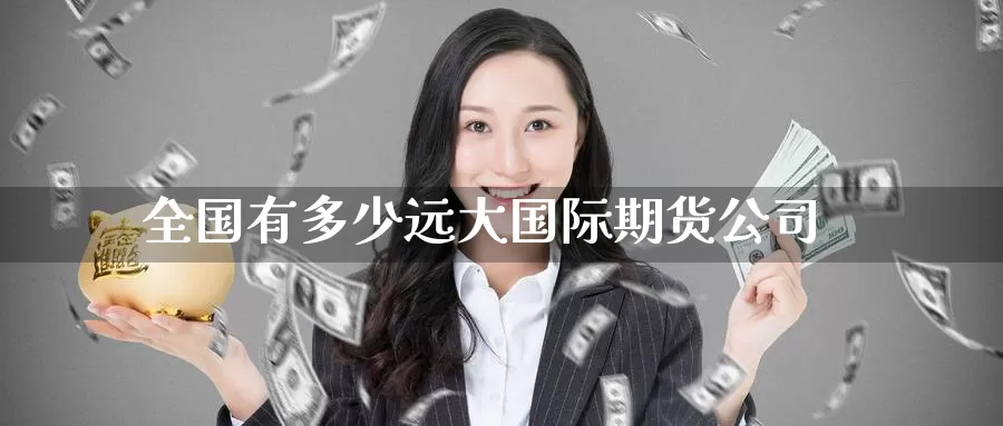 全国有多少远大国际期货公司_https://www.51pinbao.com_恒指直播室_第1张