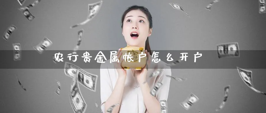 农行贵金属帐户怎么开户_https://www.51pinbao.com_原油直播室_第1张